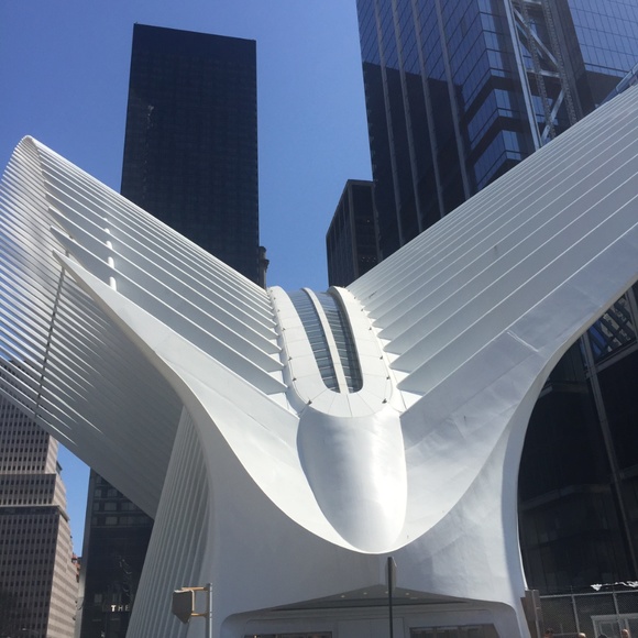 Meet your Posher, Jessie - Picture 3 of 4